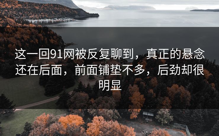 这一回91网被反复聊到，真正的悬念还在后面，前面铺垫不多，后劲却很明显