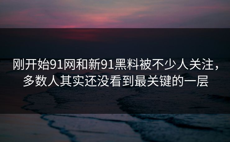 刚开始91网和新91黑料被不少人关注，多数人其实还没看到最关键的一层