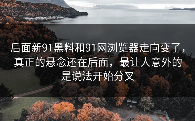 后面新91黑料和91网浏览器走向变了，真正的悬念还在后面，最让人意外的是说法开始分叉