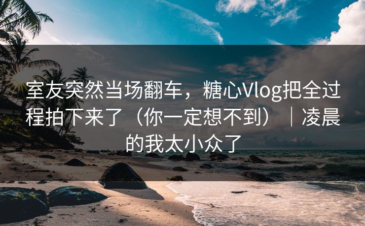 室友突然当场翻车，糖心Vlog把全过程拍下来了（你一定想不到）｜凌晨的我太小众了