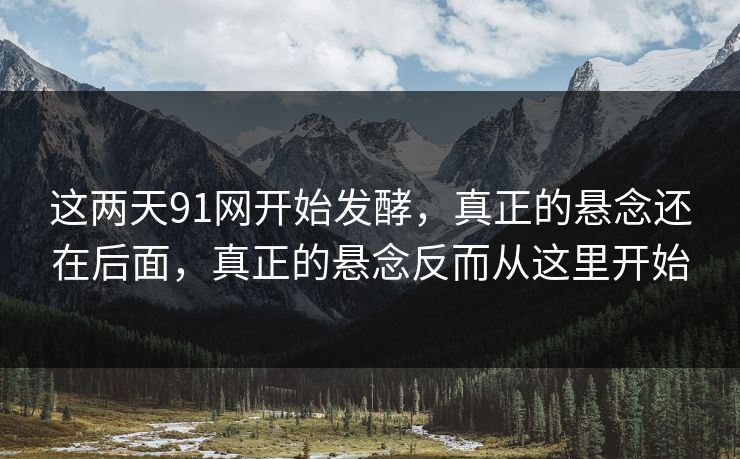 这两天91网开始发酵，真正的悬念还在后面，真正的悬念反而从这里开始