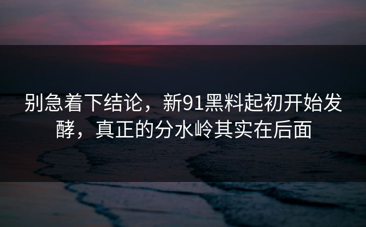 别急着下结论，新91黑料起初开始发酵，真正的分水岭其实在后面