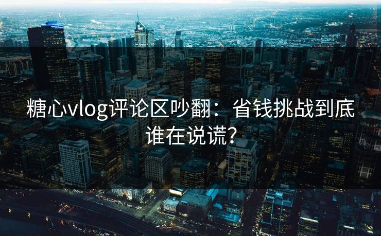 糖心vlog评论区吵翻：省钱挑战到底谁在说谎？