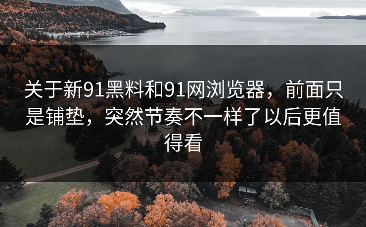 关于新91黑料和91网浏览器，前面只是铺垫，突然节奏不一样了以后更值得看