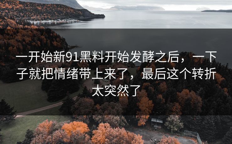 一开始新91黑料开始发酵之后，一下子就把情绪带上来了，最后这个转折太突然了