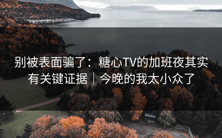 别被表面骗了：糖心TV的加班夜其实有关键证据｜今晚的我太小众了